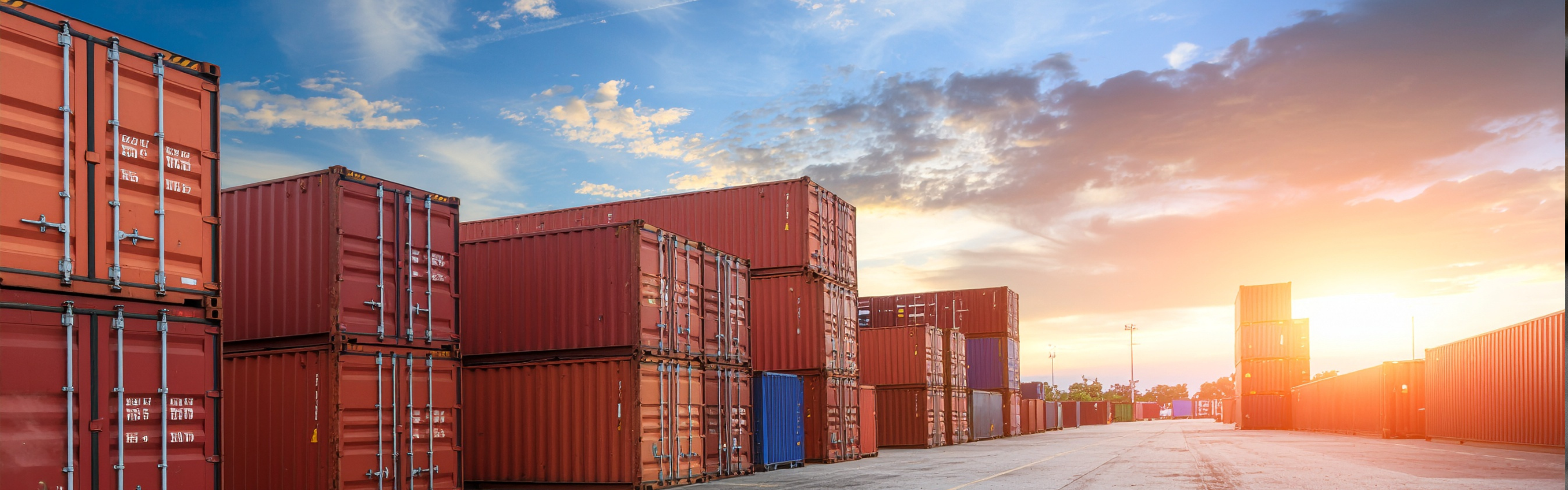 Customs Trade Partnership Against Terrorism (CTPAT)